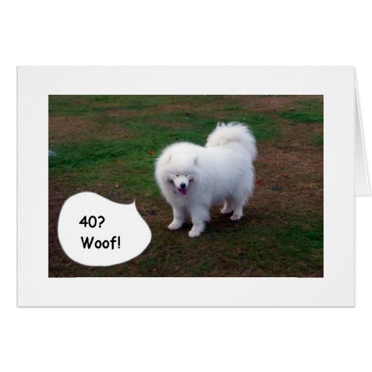 SAMOYED JUST CAN'T BELIVE YOU40! WOOF! (Front Horizontal)