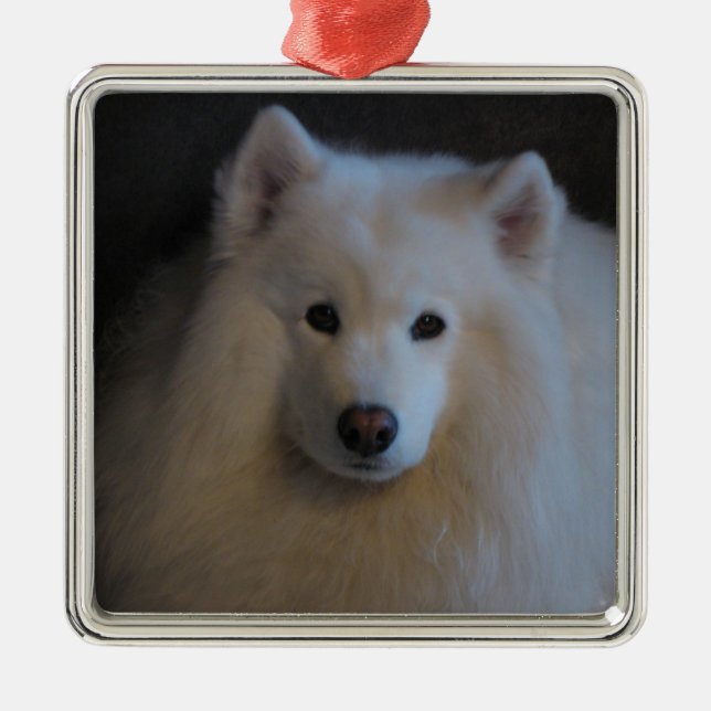Samoyed Metal Ornament (Front)