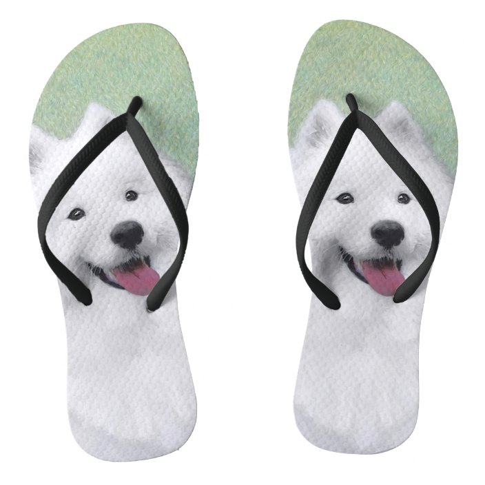 dog flip flops
