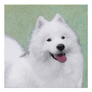 Samoyed Painting - Cute Original Dog Art Poster