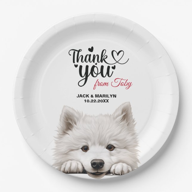 Samoyed Paper Plates (Front)