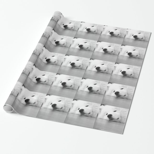 Samoyed Photo Dog White Wrapping Paper (Unrolled)