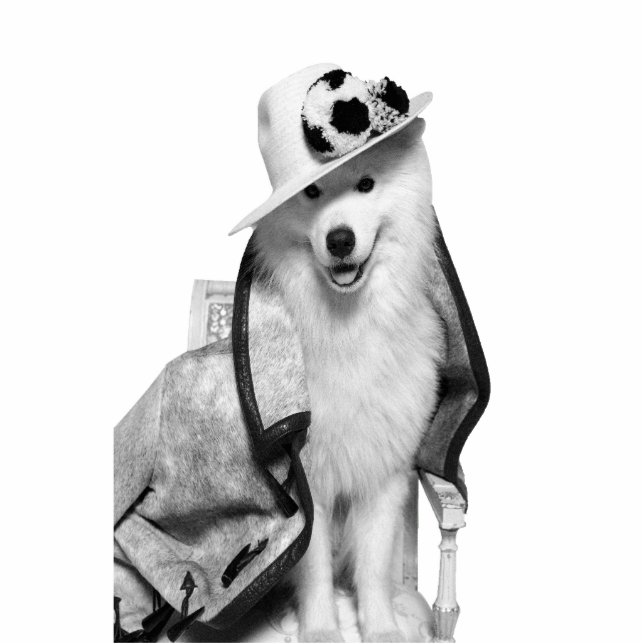 Samoyed Plv Standee Cutout (Front)