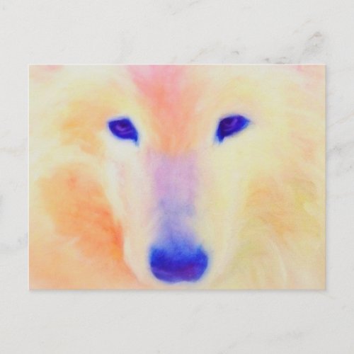 Samoyed postcard