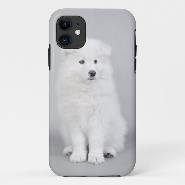 Samoyed puppy Case-Mate iPhone case (Back)