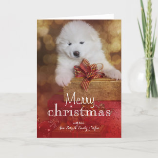 Samoyed Puppy Dog With Christmas Gifts Holiday Card