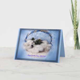 Samoyed Puppy Greeting Card: "Gotcha"Day Celebrate Card