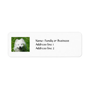 Samoyed Return Address Labels