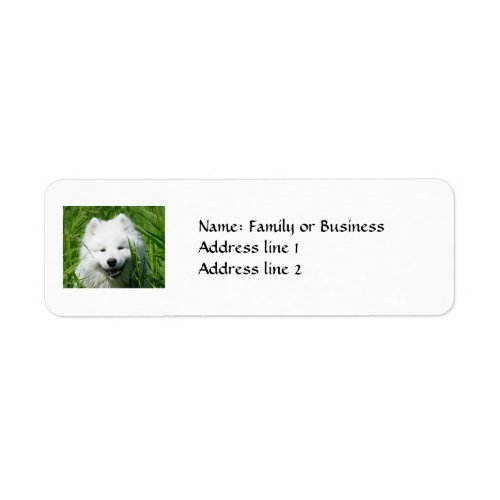 Samoyed Return Address Labels