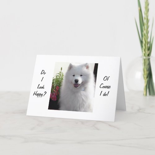 SAMOYED SAYS HAPPY THAT YOU ARE 21 CARD