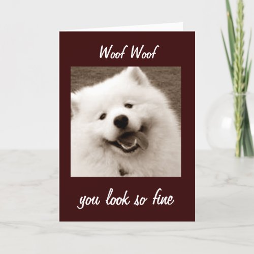 SAMOYED SAYS YOU LOOK FINE FOR TURNING 39 CARD
