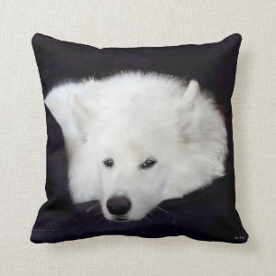 Samoyed Throw Pillow:Choice of Material, Color ... Pillow