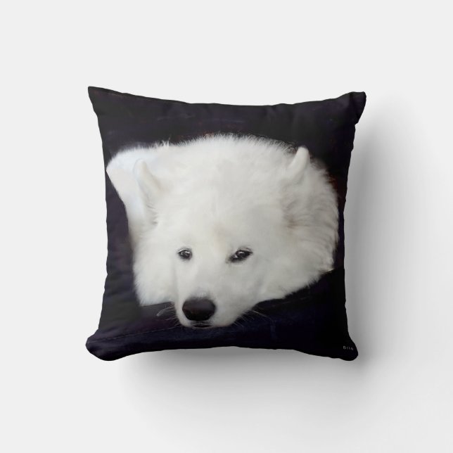 Samoyed Throw Pillow:Choice of Material, Color ... Throw Pillow (Front)