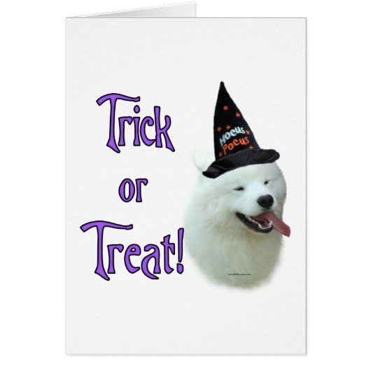 Samoyed Trick Cards (Front)