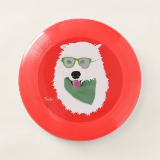 Samoyed Tucker's Frisbee