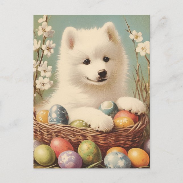 Samoyed Vintage easter Postcard (Front)