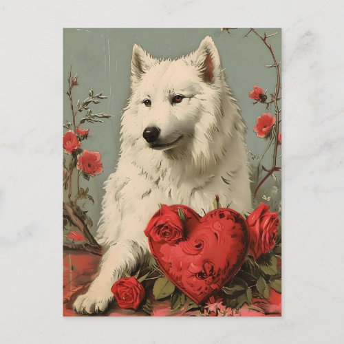 Samoyed Vintage Valentines day  Postcard