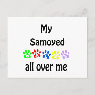 Samoyed Walks Design Postcard