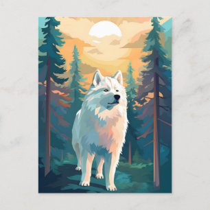Samoyed winter mountain forest during sunset postcard