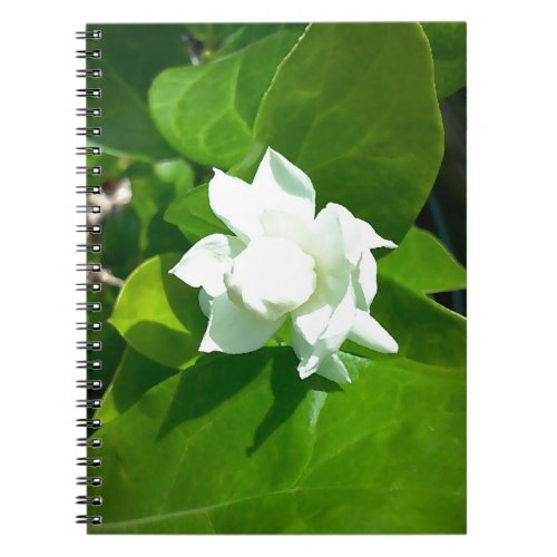 Sampaguita Jasmine flower Notebook