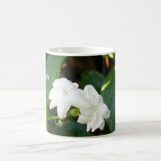 Sampaguita Mug