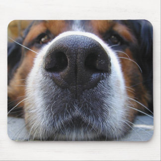 Samson Mouse Pad