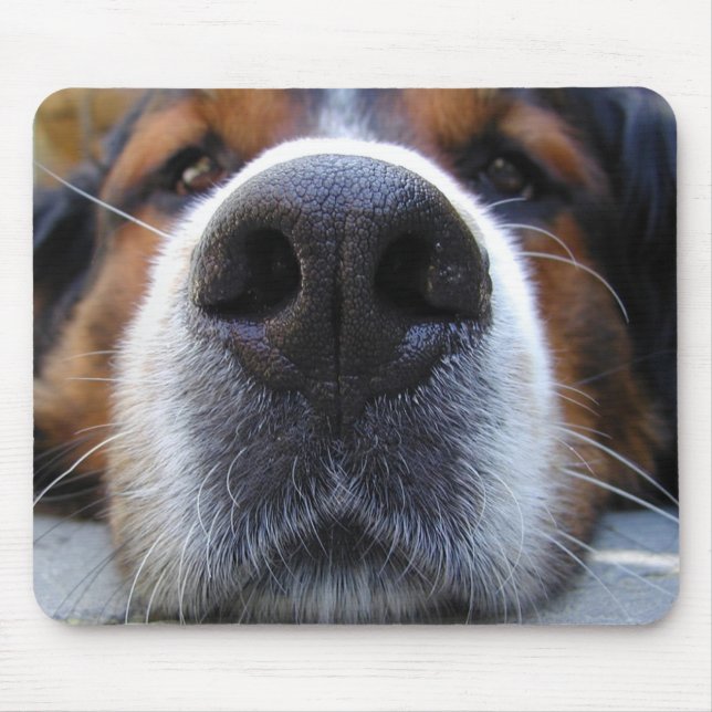 Samson Mouse Pad (Front)