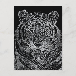 Samson Postcard