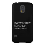 SNOWBERRY ROaD  Samsung Galaxy Nexus Cases