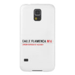 Calle Flamenca  Samsung Galaxy Nexus Cases