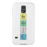 Be
 Rn
 I
 E  Samsung Galaxy Nexus Cases