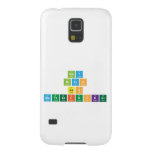 Gay
 Bitch
 Ass
 MotherFucker  Samsung Galaxy Nexus Cases