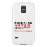 Intorrek Lane   Samsung Galaxy Nexus Cases