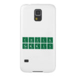 Chuck
 Norris  Samsung Galaxy Nexus Cases