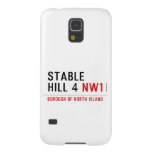 stable hill 4  Samsung Galaxy Nexus Cases