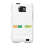 South Pointe  Samsung Galaxy S2 Cases