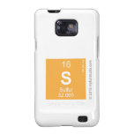 S  Samsung Galaxy S2 Cases