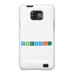 Minecraft  Samsung Galaxy S2 Cases