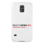 Calle Flamenca  Samsung Galaxy S5 Cases