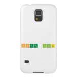 South Pointe  Samsung Galaxy S5 Cases