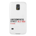 awesomeness street  Samsung Galaxy S5 Cases