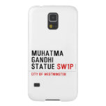 muhatma gandhi statue  Samsung Galaxy S5 Cases