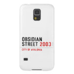 Obsidian Street  Samsung Galaxy S5 Cases
