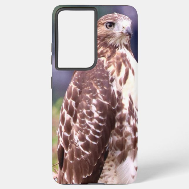 Samsung Red Tail Hawk Samsung Galaxy Case (Back)