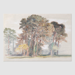 Samuel Colman The Pine Trees of El Monte... Tissue Paper