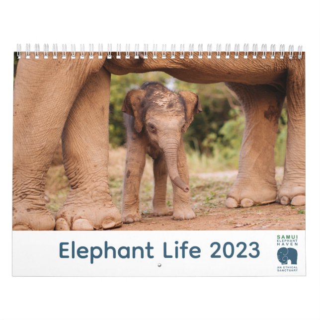 Samui Elephant Haven 2023 Calendar (Cover)