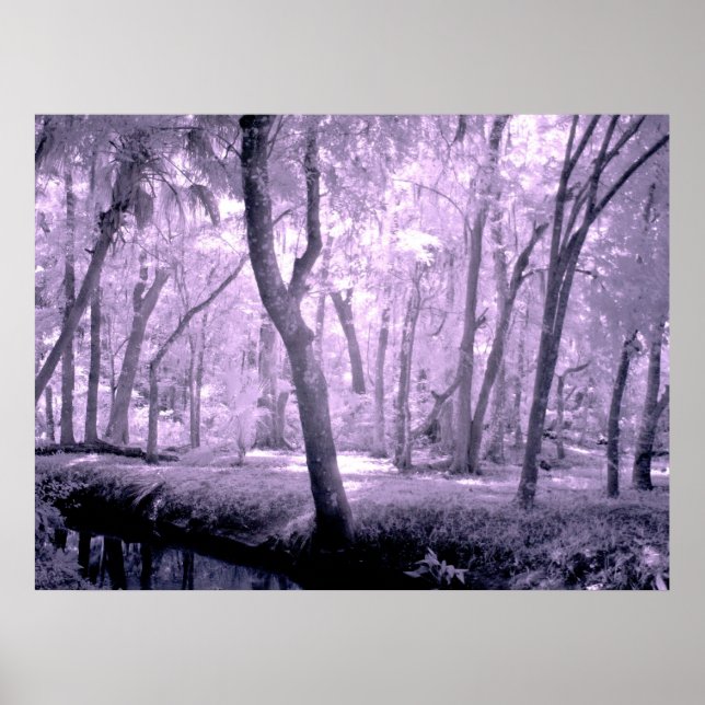 Samurai Forest Poster (Front)