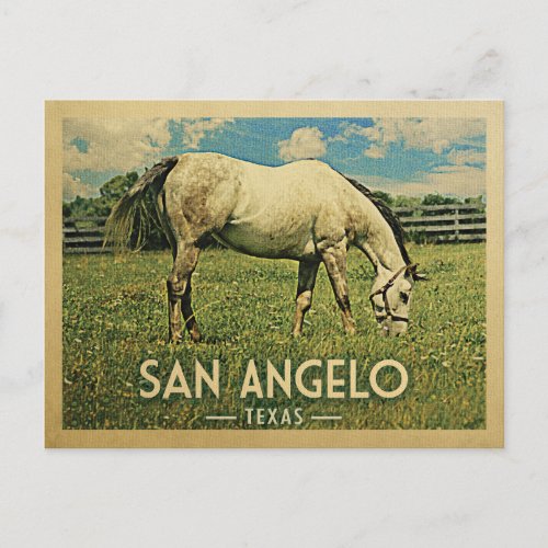 San Angelo Texas Horse Farm _ Vintage Travel Postcard