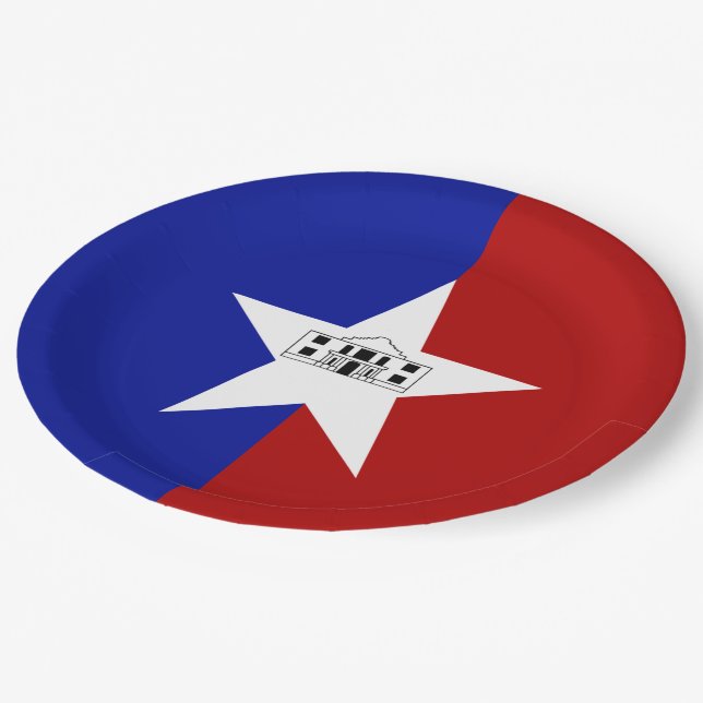 San Antonio city flag Paper Plates (Angled)
