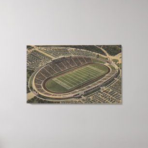 San Antonio, Texas - Alamo Stadium View Canvas Print
